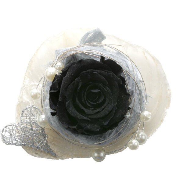 Tischdeko Schwarze Rose auf Muschel