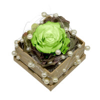 Rosenbox Rund mit 1 grünen Rose, Draht und Perlen