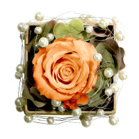 Rosenbox Rund mit 1 Orange Rose, Draht und Perlen
